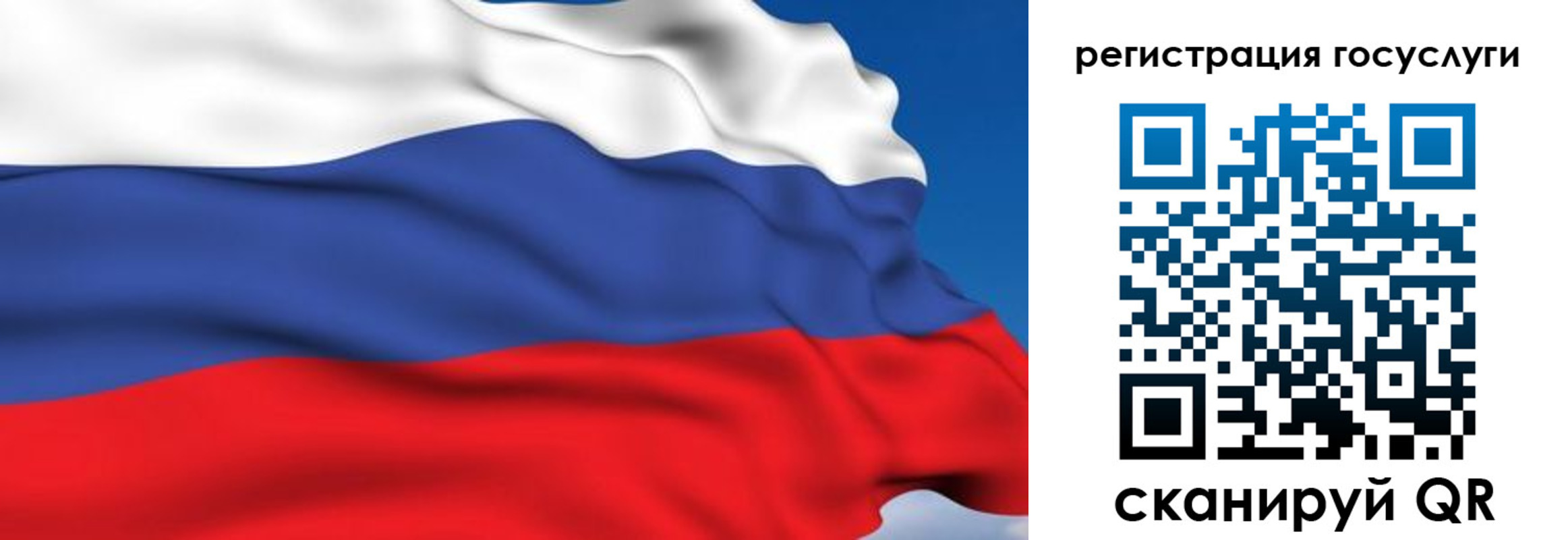 где прописаться в Курске